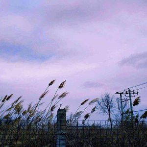 亚洲最大成人网色
