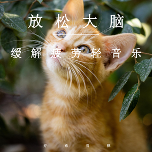 亚洲最大成人网色
